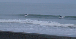 121017pm-eagle1 (4).jpg